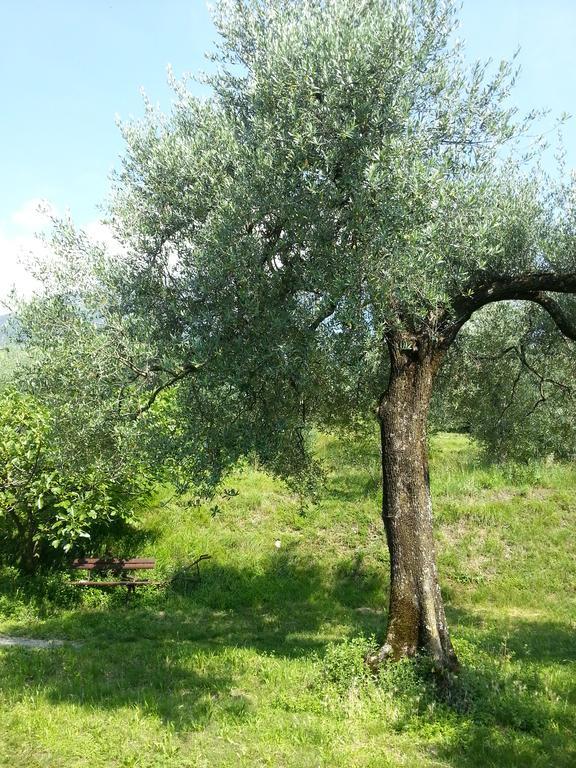 Ca' Dei Gatti Villa Toscolano Maderno Eksteriør billede